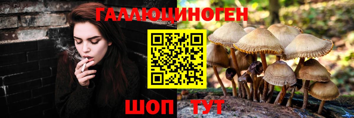 Псилоцибиновые грибы прущие грибы Алатырь